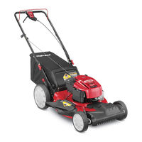 Troy-Bilt TB250 Manual Del Operador