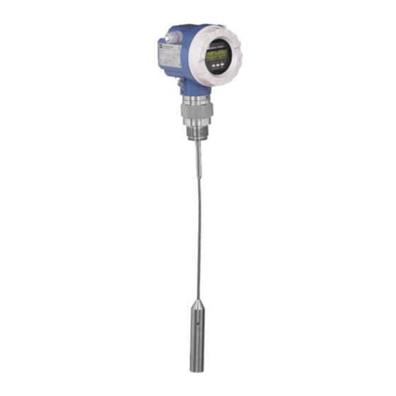 Endress+Hauser levelflex M FMP 40 Instrucciones De Funcionamiento