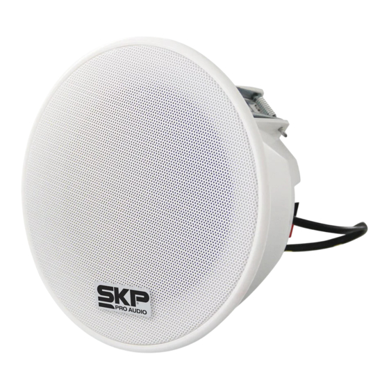 SKP Pro Audio INSTALL KIT x4 Manual De Instrucciones