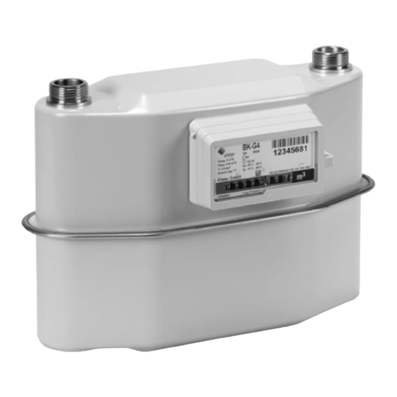 Elster BK-G1,6 Instrucciones De Utilizacion