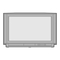 TV JVC InteriArt Natural Vision T-V LINK AV-32WFT1EP Manual De Instrucciones