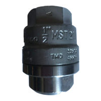 Spirax Sarco MST 21 Descripción