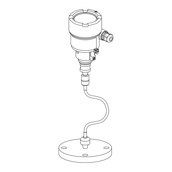 Endress+Hauser Cerabar PMP71B Manual De Instrucciones