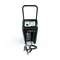 Cargadores de Batería Schumacher Electric SC15 Manual Del Usuario