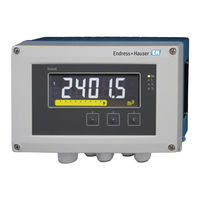 Endress+Hauser RIA46 Manual De Instrucciones