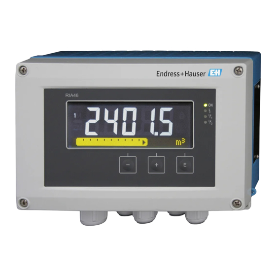 Endress+Hauser RIA46 Manual De Instrucciones