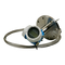 Endress+Hauser Levelflex FMP56 HART