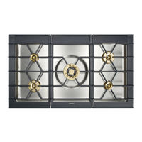 Gaggenau CG 492 Instrucciones De Uso