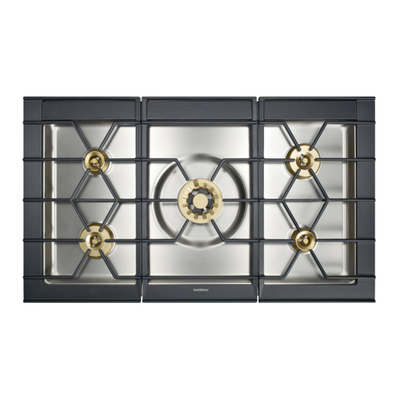 Gaggenau CG 492 Instrucciones De Uso