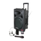 Altavoces Ibiza sound PORT12VHF-BT Manual De Instrucciones