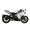 Motocicletas VOGE 300RR Manual Del Usuario