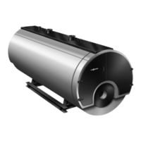 Viessmann M82 Instrucciones De Servicio
