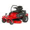 Briggs & Stratton 2691691-00