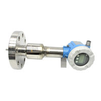 Endress+Hauser Levelflex M FMP45 Instrucciones De Funcionamiento