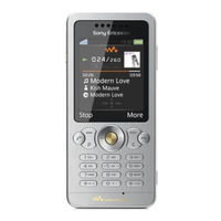 Sony Ericsson W302 Guia Del Usuario