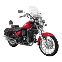 Torino Motors TROTTER 250 Manual De Usuario