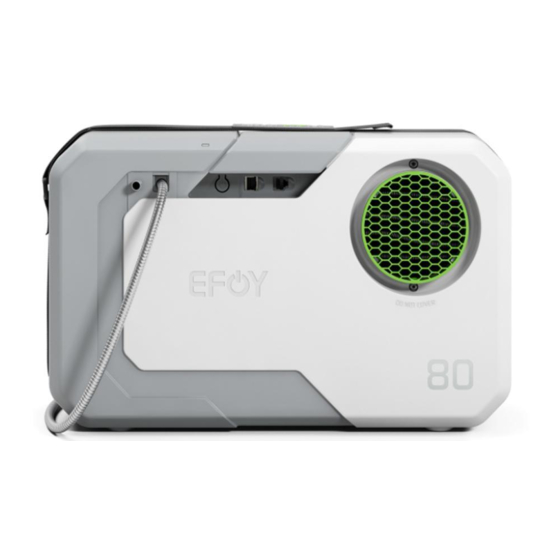 EFOY 80 Manual Del Usuario