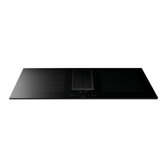 FALMEC Quantum Manual De Instrucciones