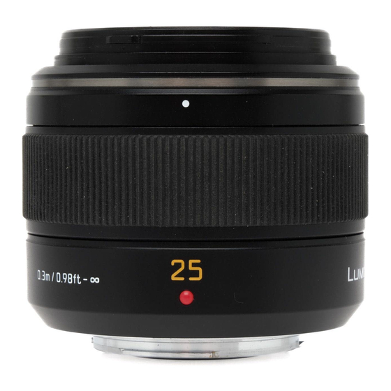 Panasonic Lumix H-X025 Manual De Instrucciones