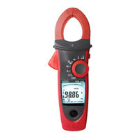 RS Pro IPM 240 Serie Manual De Instrucciones