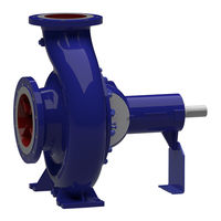 KSB Etanorm 200-200-250 Manual De Instrucciones De Servicio/Montaje