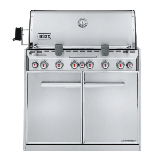 Weber Summit NG Serie Manuales