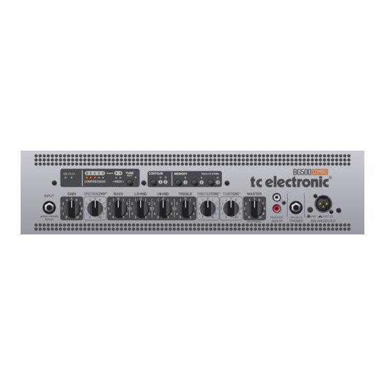 TC Electronic BG500/210 Manual De Instrucciones