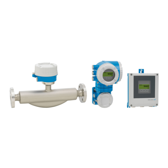 Endress+Hauser Proline Promass F 500 Manual De Instrucciones