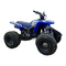 Yamaha Blaster YFS200W