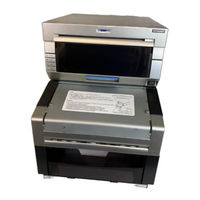 DNP DP-DS80D Manual De Usuario