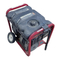 Briggs & Stratton 030208