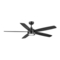 Home Decorators Collection DRISKOL 56052