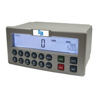 Badger Meter CB-30 Manual Del Usuario