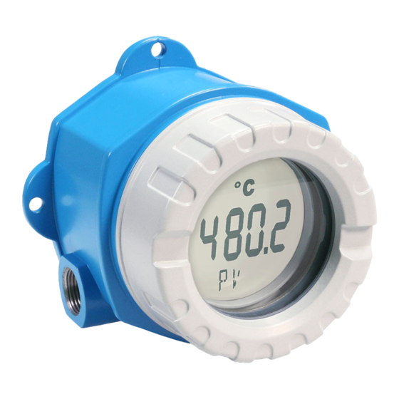 Endress+Hauser iTEMP TMT142B Manual De Instrucciones