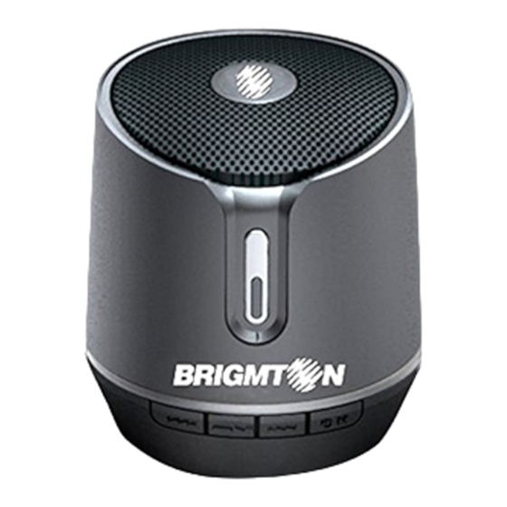 Brigmton BAMP-612-N Manual De Instrucciones