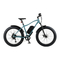 Manual de la bicicleta eléctrica Retrospec Koa Rev