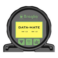 Braglia DATA-MATE 200.309.2 Manual De Instalación De Montaje