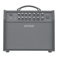 Boss ACOUSTIC SINGER LIVE LT Manual Del Usuario