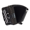 Roland V-Accordion FR-7
