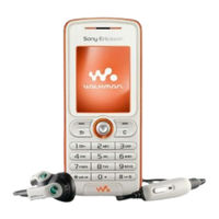 Sony Ericsson GSM 900 Manual Del Usuario