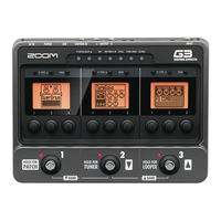 Zoom G3X Manual De Instrucciones