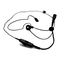 Auriculares Motorola PMLN5102 Guia Del Usuario