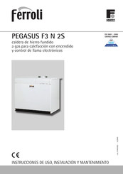 Ferroli PEGASUS F3 N 2S Instrucciones De Uso