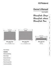 Roland Blues Cube Artist Manual Del Usuario