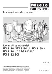 Miele professional PG 8131i Instrucciones De Manejo