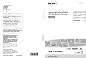 Sony Handycam NEX-VG900E Manual De Instrucciones