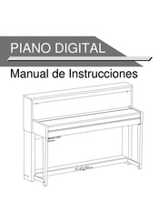 Medeli DP650K Manual De Instrucciones