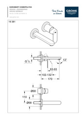 Grohe Eurosmart Cosmopolitan 19 381 Manual De Instrucciones