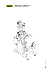 Buchi Rotavapor R-250 Pro Manual De Instrucciones