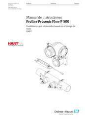 Endress+Hauser Proline Prosonic Flow P 500 Manual De Instrucciones